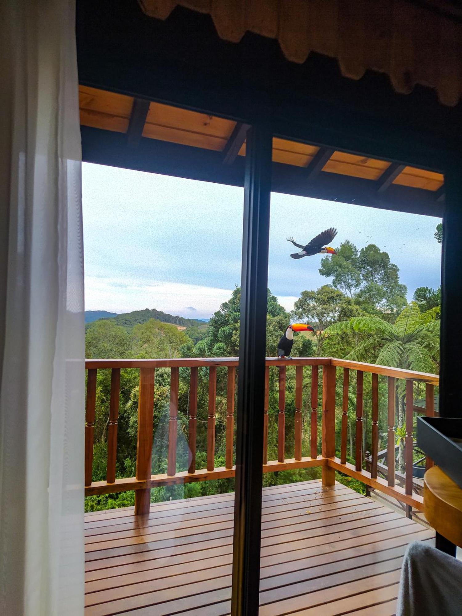 Chales Descanso Na Serra Monte Verde  Room photo